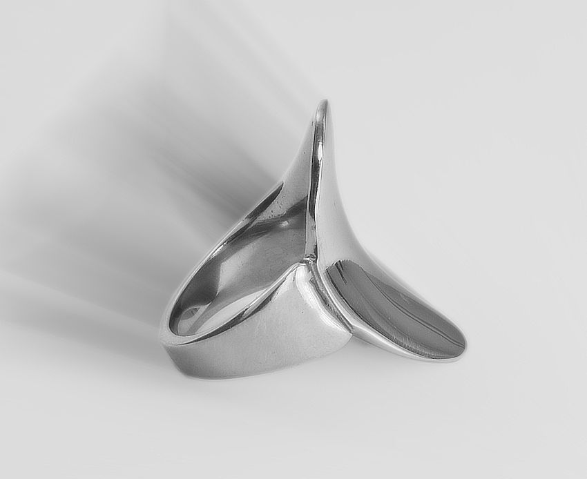 1. Dámský prsten z chirurgické oceli, Danille