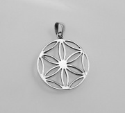 Stříbrný amulet, Květ života No.02